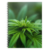 Mooie weed notitieboek (Voorkant)