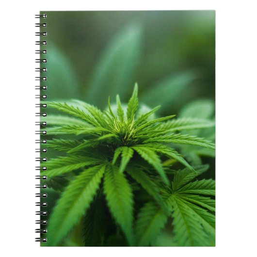 Mooie weed notitieboek (Voorkant)