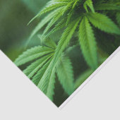 Mooie weed tissuepapier (Detail)