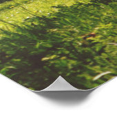 Mooie weide poster (Hoek)