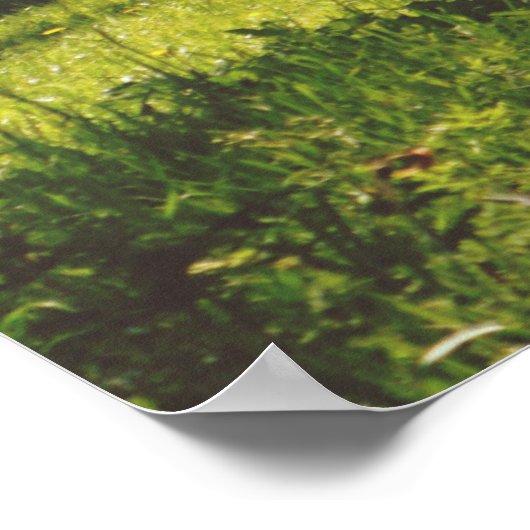 Mooie weide poster (Hoek)