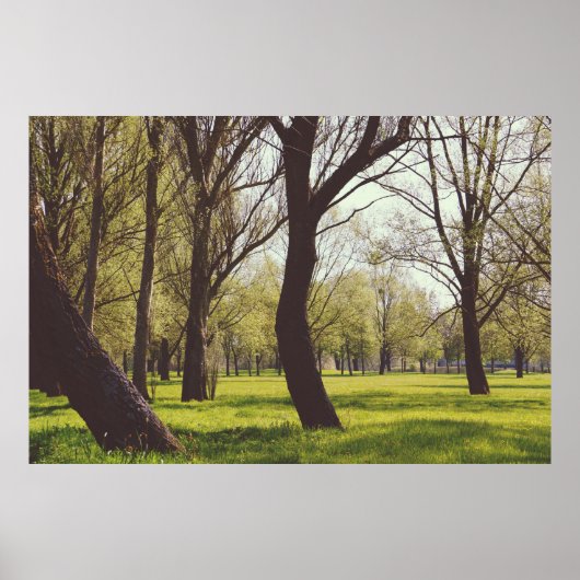 Mooie weide poster (Voorkant)