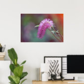 Mooie weidebloem poster (Thuiskantoor)