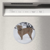 Mooie Weimaraner in de sneeuw Magneet (Insitu (Vaatwasser))