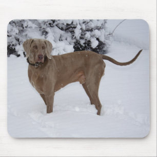 Mooie Weimaraner in de sneeuw Muismat