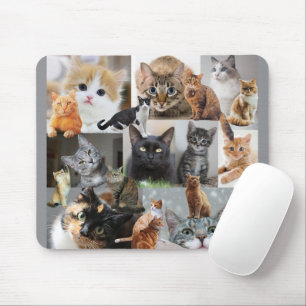 Mooie wereld van katten en katjes muismat