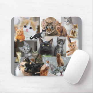 Mooie wereld van katten en katjes muismat