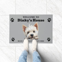Mooie West Highland White Terrier Hond Foto