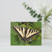 Mooie Westerne tijger Swallowtail Butterfly Briefkaart (Staand voorkant)