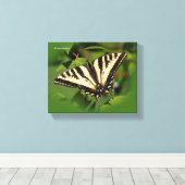 Mooie Westerne tijger Swallowtail Butterfly Canvas Afdruk (Insitu (Houten vloer))