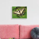 Mooie Westerne tijger Swallowtail Butterfly Canvas Afdruk (Insitu (Woonkamer))