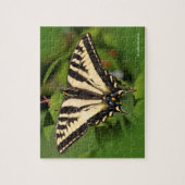 Mooie Westerne tijger Swallowtail Butterfly Legpuzzel (Verticaal)
