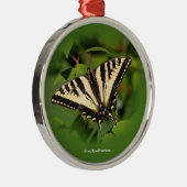 Mooie Westerne tijger Swallowtail Butterfly Metalen Ornament (Rechts)