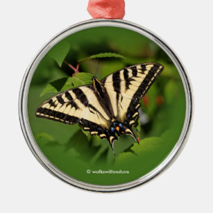 Mooie Westerne tijger Swallowtail Butterfly Metalen Ornament