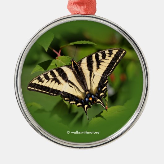 Mooie Westerne tijger Swallowtail Butterfly Metalen Ornament (Voorkant)