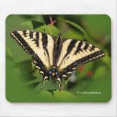 Mooie Westerne tijger Swallowtail Butterfly Muismat (Voorkant)