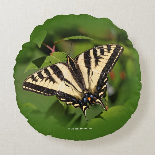 Mooie Westerne tijger Swallowtail Butterfly Rond Kussen (Voorkant)