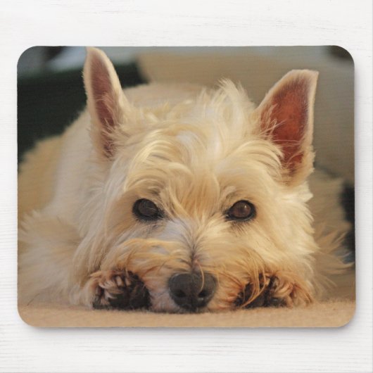 Mooie Westie Dog-Muismat / Mat van muis Muismat (Voorkant)