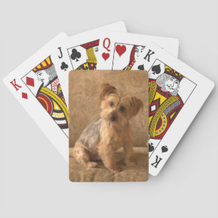 Mooie Westie / Yorkie-hond om je hart te doen smel Pokerkaarten