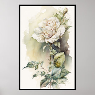 Mooie White Rose-Waterverf Poster
