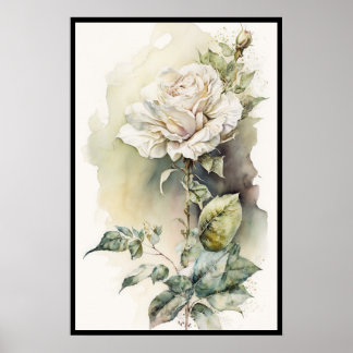 Mooie White Rose-Waterverf Poster