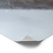 Mooie White Wolf Art Poster (Hoek)