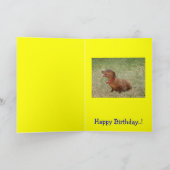 Mooie Wiener Dachshund Hound Hond Kaart (Binnen)