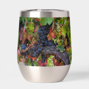 Mooie Wijndruiven en Wijnstok