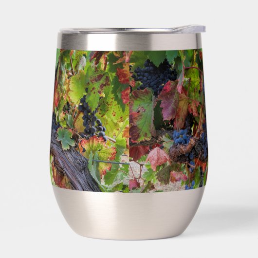 Mooie Wijndruiven en Wijnstok (Links)