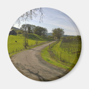 Mooie Wijngaard in Napa Vallei Californië Magneet