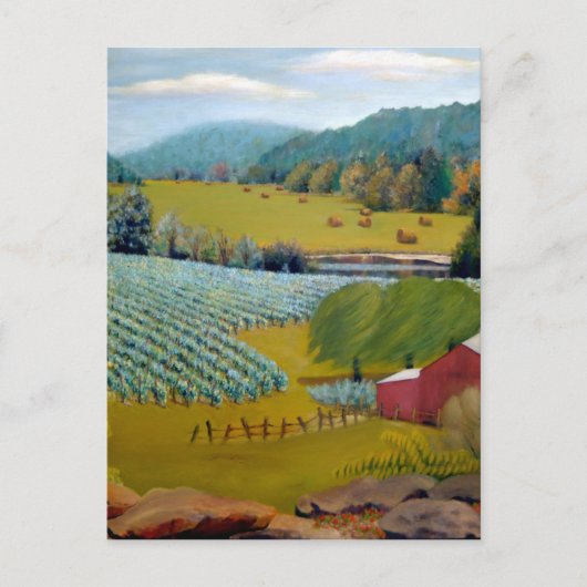 Mooie wijnwerf op het Boerderij Augusta Missouri Briefkaart (Voorkant)