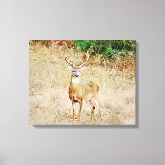 Mooie Wild Deer Buck Canvas Afdruk (Voorkant)