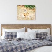Mooie Wild Deer Buck Canvas Afdruk (Insitu (Slaapkamer))