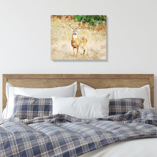 Mooie Wild Deer Buck Canvas Afdruk (Insitu (Slaapkamer))