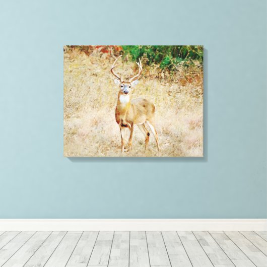 Mooie Wild Deer Buck Canvas Afdruk (Insitu (Houten vloer))
