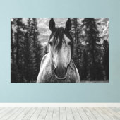 Mooie Wild Spirited Horse Zwart en Wit Canvas Afdruk (Insitu (Houten vloer))
