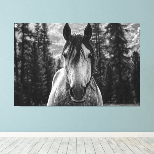 Mooie Wild Spirited Horse Zwart en Wit Canvas Afdruk (Insitu (Houten vloer))