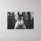 Mooie Wild Spirited Horse Zwart en Wit Canvas Afdruk (Voorkant)