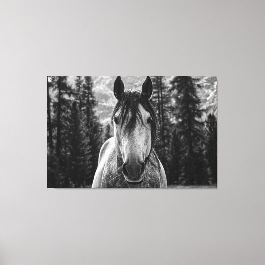 Mooie Wild Spirited Horse Zwart en Wit Canvas Afdruk (Voorkant)