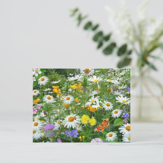 Mooie wilde bloem en vlindermeadow briefkaart (Staand voorkant)