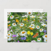 Mooie wilde bloem en vlindermeadow briefkaart (Voorkant / Achterkant)