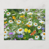 Mooie wilde bloem en vlindermeadow briefkaart (Voorkant)