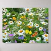 Mooie wilde bloem en vlindermeadow poster (Voorkant)