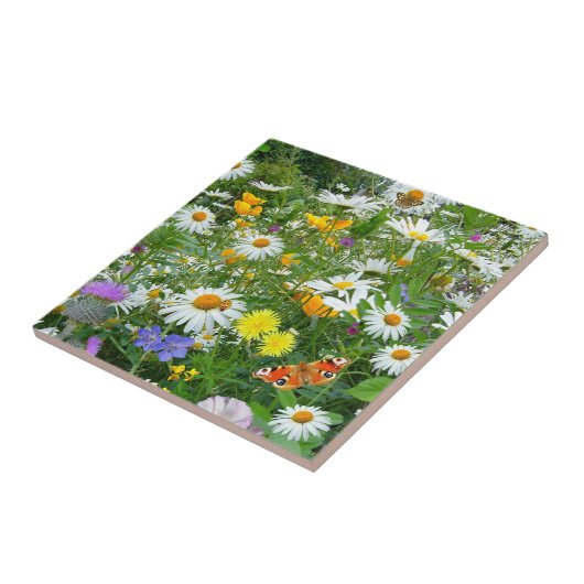 Mooie wilde bloem en vlindermeadow tegeltje (Zijkant)