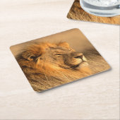 Mooie Wilde Dieren Onderzetter Set (Schuin)