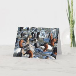 Mooie Wilde Eenden - Canvasbacks en Scaup Kaart