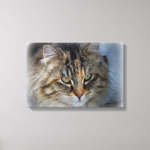 Mooie Wilde Kat Portret Canvasprint Canvas Afdruk