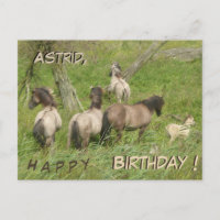 Mooie Wilde Paarden Aangepaste Verjaardagsansichtk