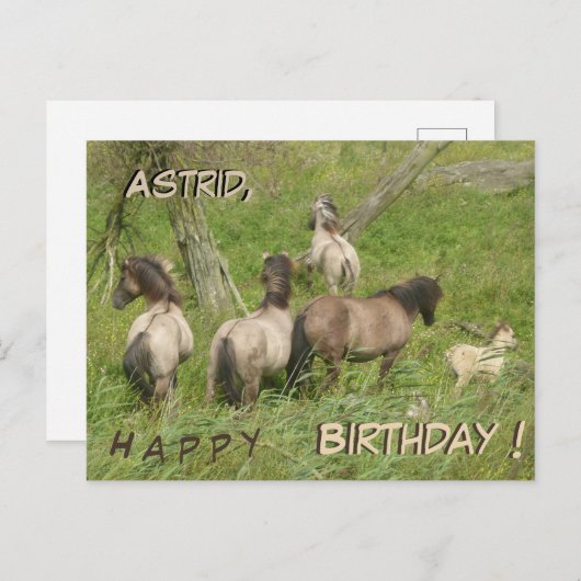 Mooie Wilde Paarden Aangepaste Verjaardagsansichtk Briefkaart (Voorkant / Achterkant)