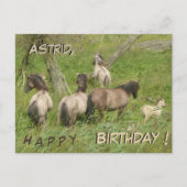 Mooie Wilde Paarden Aangepaste Verjaardagspostkaar Briefkaart (Voorkant)